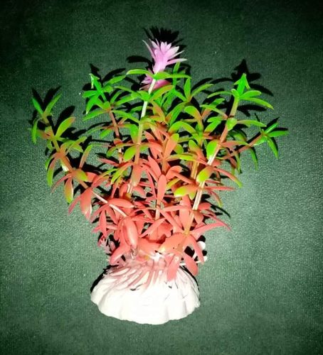 Kunstpflanze rot/grün ca 10 cm